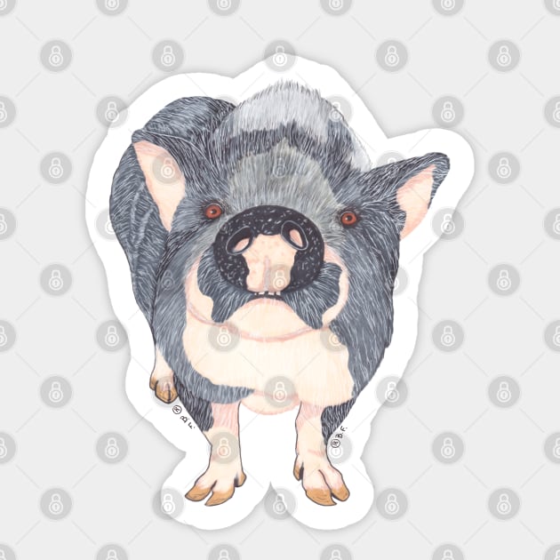 POT BELLIED PIG Sticker by BeritValk